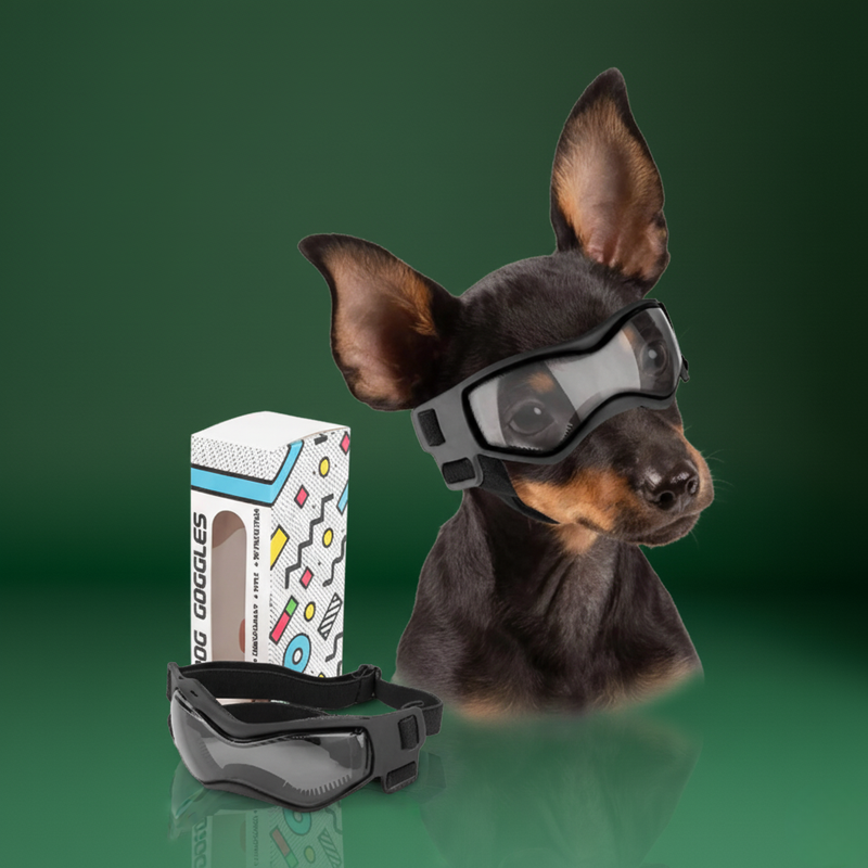 Pet Riding & Driving Glasses – Adjustable UV Dog Sunglasses
