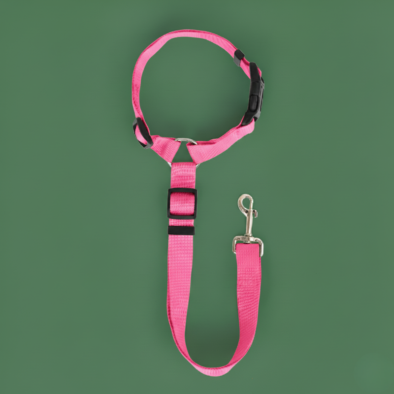 Solid Color Pet Harness & Seat Belt Leash – Safety for Dogs