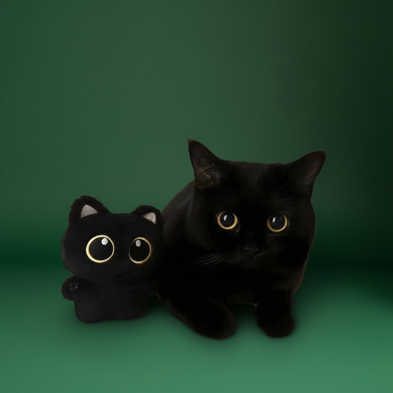 Black Cat Plush Doll – Small Cuddly Toy for Kids