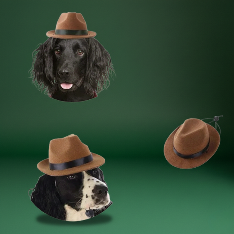 Pet Cosplay Costume – Fun Bat Wings for Cats and Small Dogs