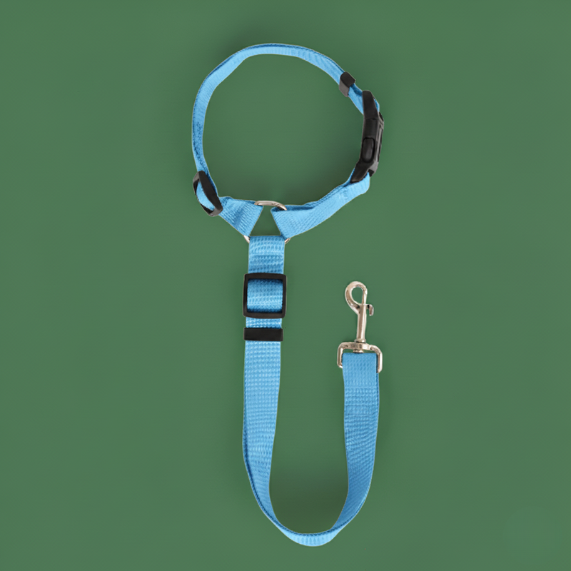 Solid Color Pet Harness & Seat Belt Leash – Safety for Dogs