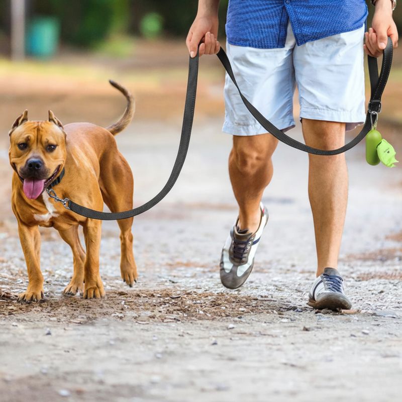 Reflective Pet Walking Leash – Harness Rope for Cats & Dogs