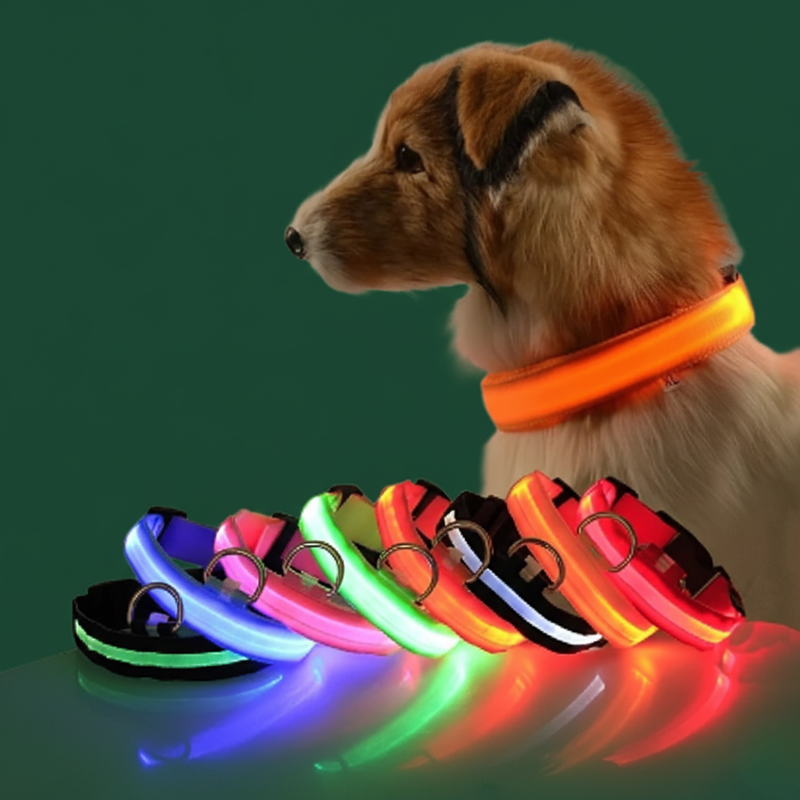 LED Dog Leash & Collar – Visible Night Safety Nylon for Pets