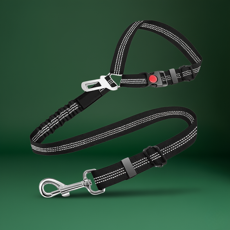 Solid Color Pet Harness & Seat Belt Leash – Safety for Dogs