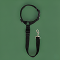 Solid Color Pet Harness & Seat Belt Leash – Safety for Dogs