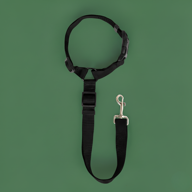 Solid Color Pet Harness & Seat Belt Leash – Safety for Dogs