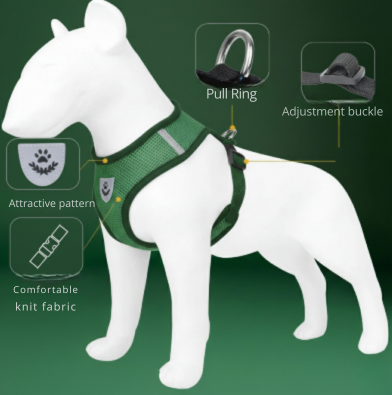 Dog Collar & Harness Set