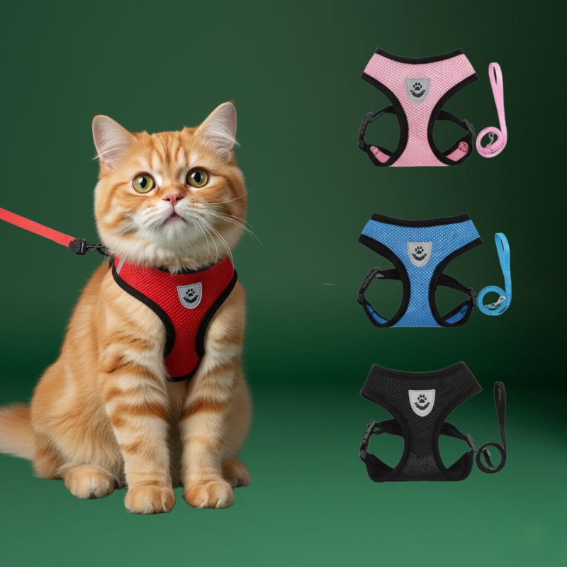 Dog Collar & Harness Set