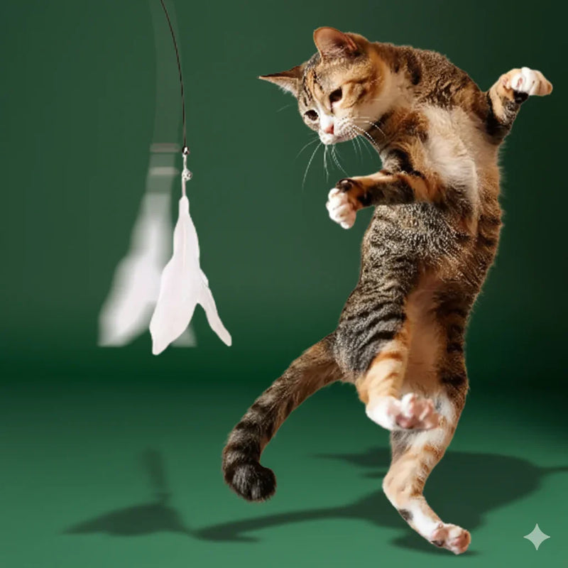 Ultimate Cat Toy – Interactive Bell & Feather Wand