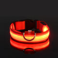 LED Dog Leash & Collar – Visible Night Safety Nylon for Pets