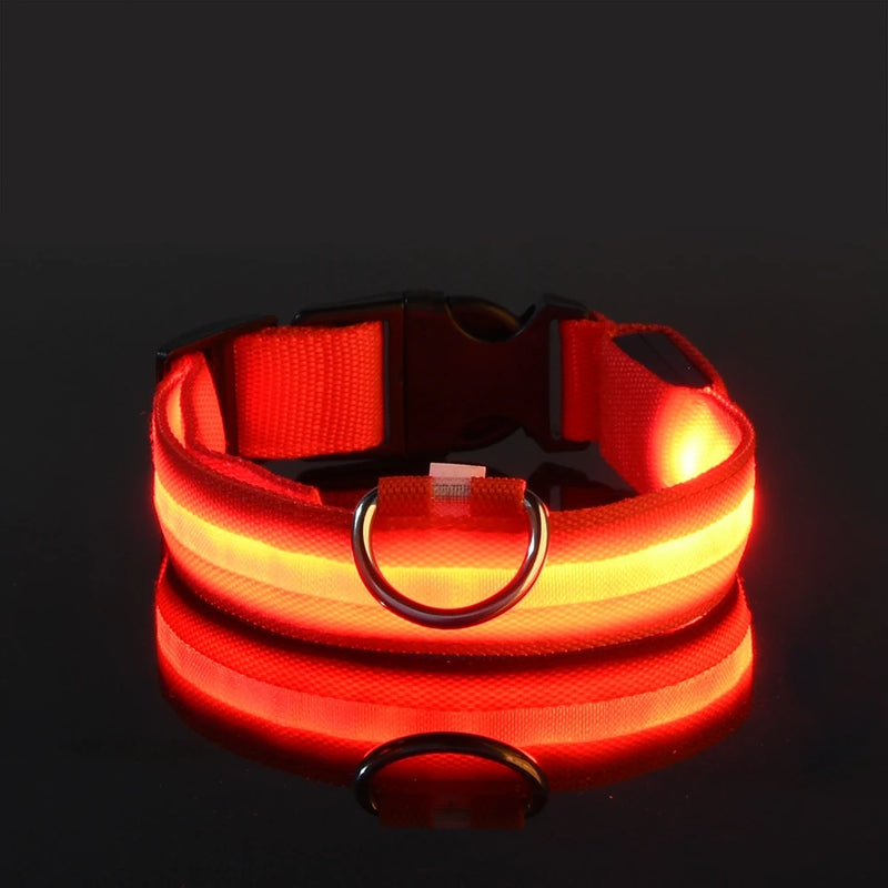 LED Dog Leash & Collar – Visible Night Safety Nylon for Pets