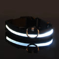 LED Dog Leash & Collar – Visible Night Safety Nylon for Pets