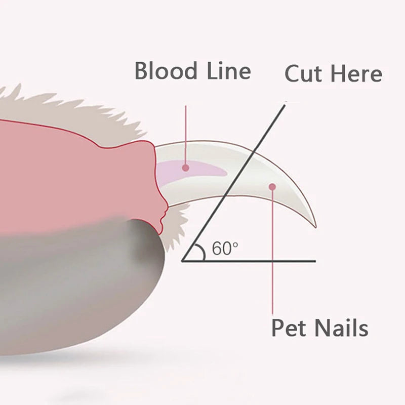 Professional Pet Nail Trimmer – LED Clippers for Safe Grooming