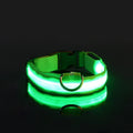 LED Dog Leash & Collar – Visible Night Safety Nylon for Pets