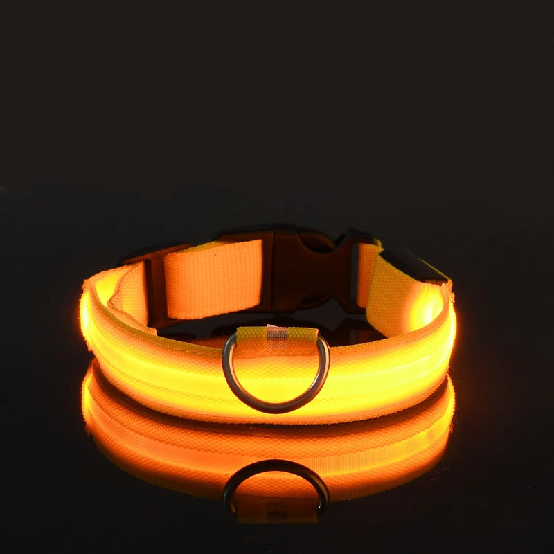 LED Dog Leash & Collar – Visible Night Safety Nylon for Pets