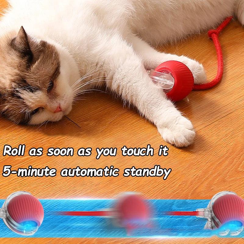 Automatic Cat & Dog Ball – Electric Mouse Imitation Toy