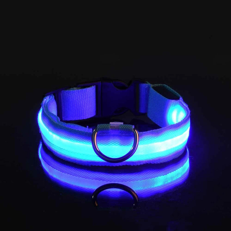 LED Dog Leash & Collar – Visible Night Safety Nylon for Pets