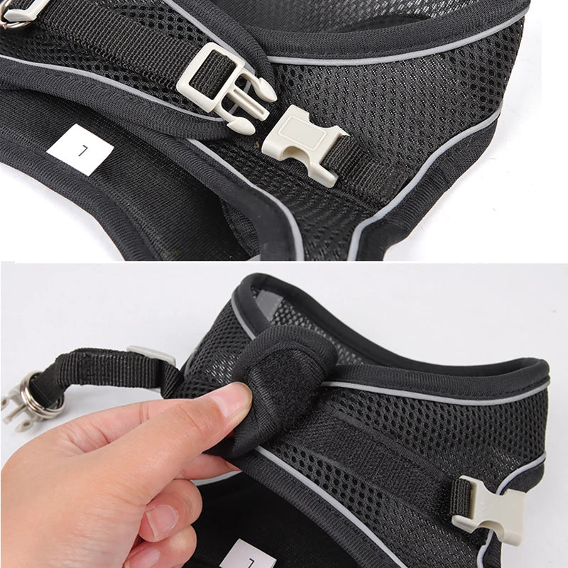 Adjustable Pet Harness & Leash – French Bulldog, Chihuahua, Pug