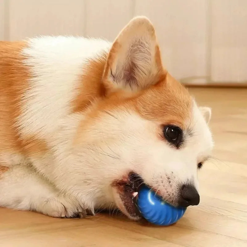 Interactive Puppy Ball – Automatic Rolling Chew Toy for Dogs