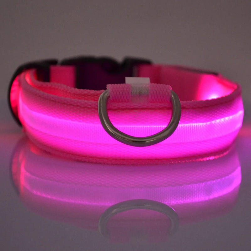 LED Dog Leash & Collar – Visible Night Safety Nylon for Pets