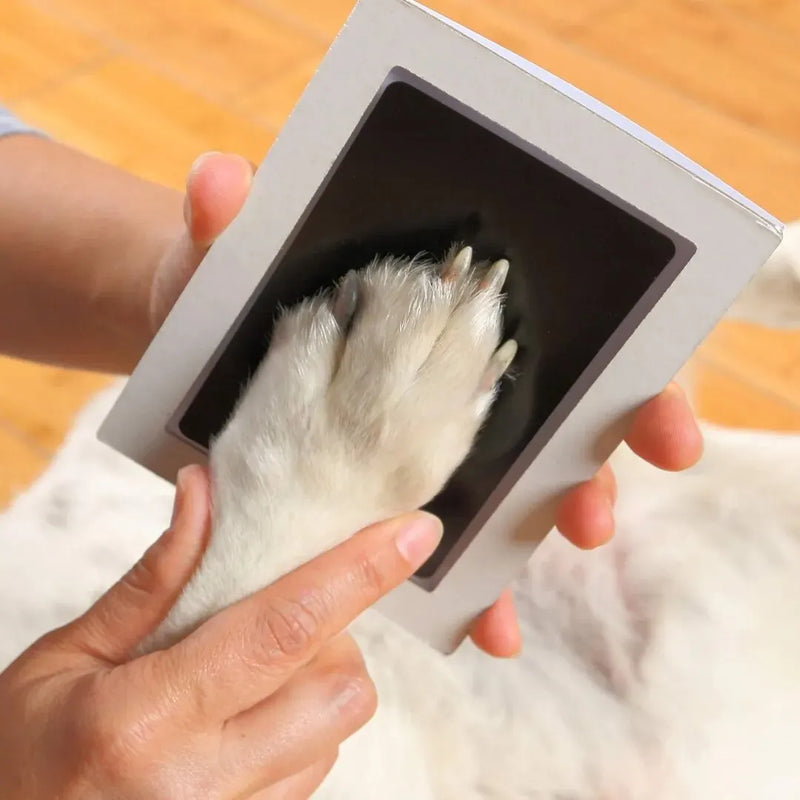 DIY Pet Paw & Nose Print Kit – Inkless Paw Print Pad