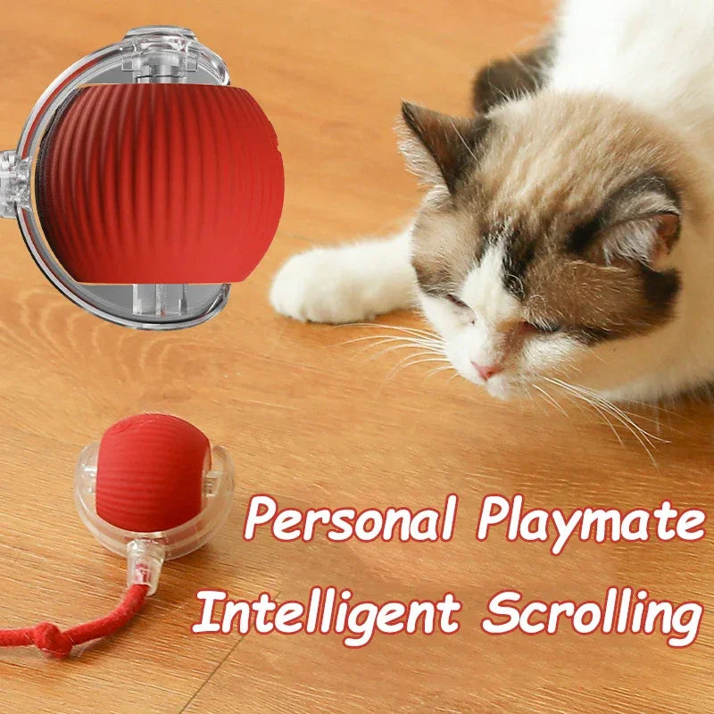 Automatic Cat & Dog Ball – Electric Mouse Imitation Toy