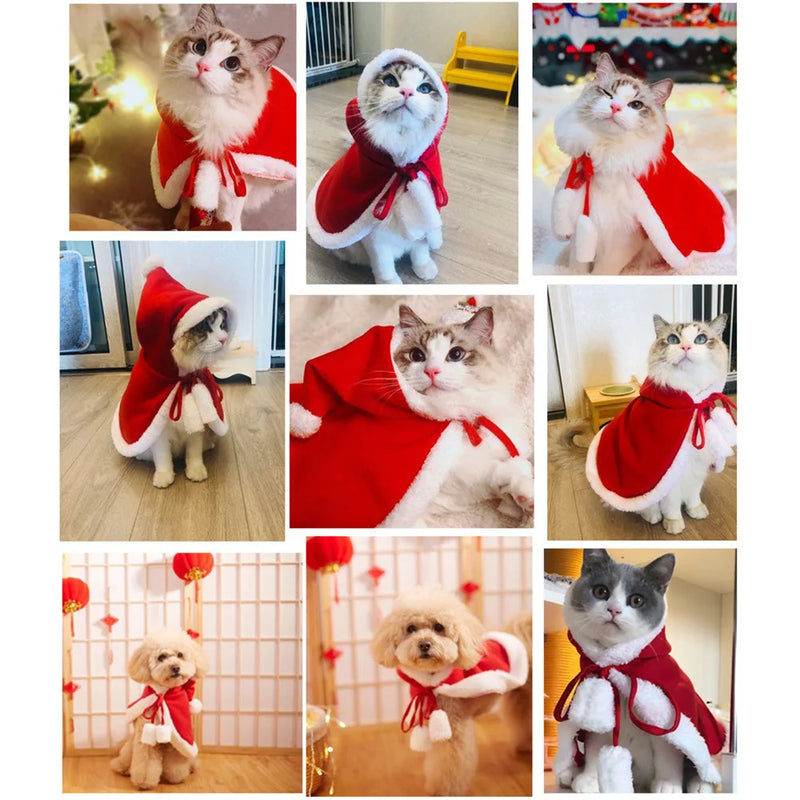 Holiday Pet Dress-Up – Santa Cloak for Cats and Small Dogs