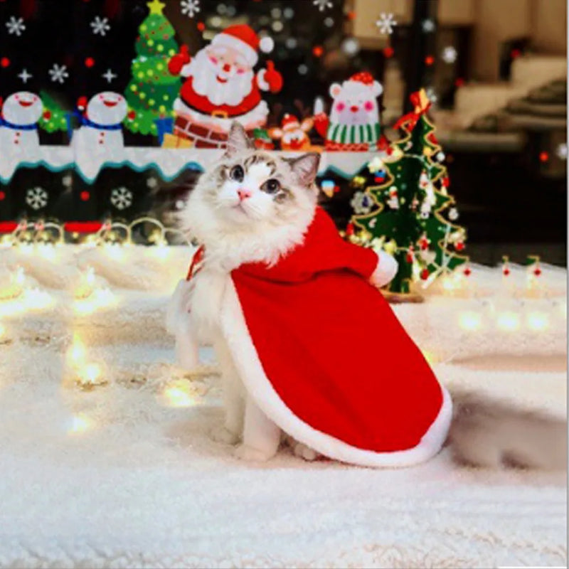 Holiday Pet Dress-Up – Santa Cloak for Cats and Small Dogs