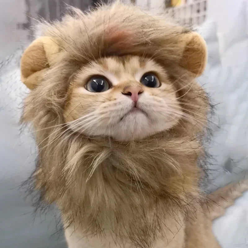 Cute Lion Cat Costume – Dress-Up for Small Cats & Kittens