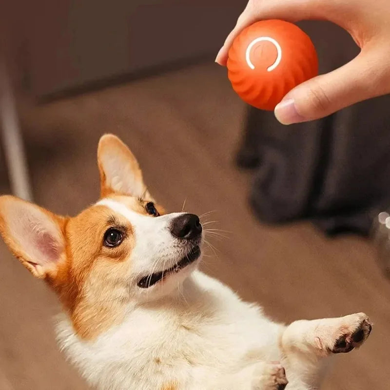 Interactive Puppy Ball – Automatic Rolling Chew Toy for Dogs