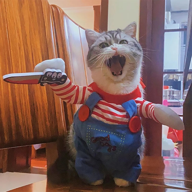Halloween Cosplay Outfit – Cute Cat & Small Dog Costume