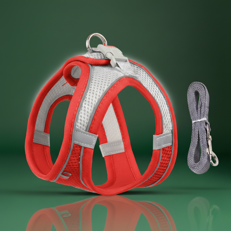 Adjustable Pet Harness & Leash – French Bulldog, Chihuahua, Pug