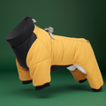 Small & Medium Dog Winter Coat – Waterproof & Cozy Jacket