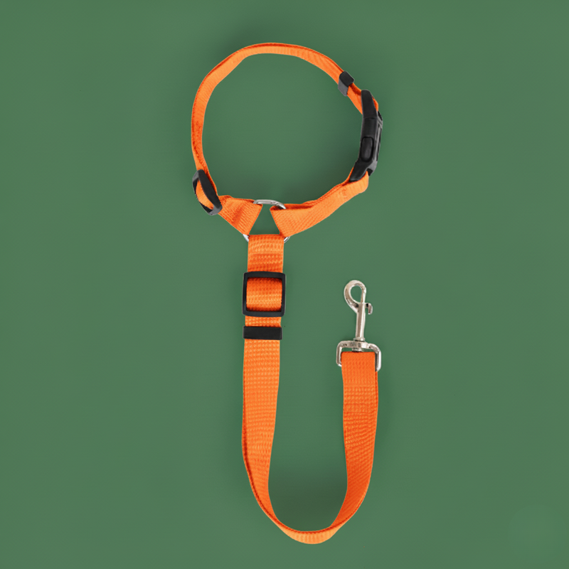 Solid Color Pet Harness & Seat Belt Leash – Safety for Dogs