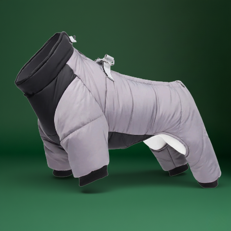 Small & Medium Dog Winter Coat – Waterproof & Cozy Jacket