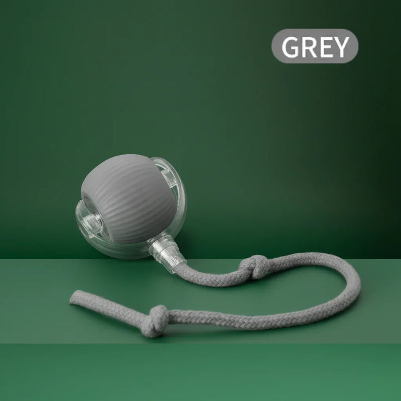 Automatic Cat & Dog Ball – Electric Mouse Imitation Toy