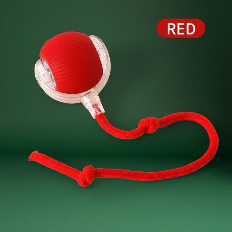 Automatic Cat & Dog Ball – Electric Mouse Imitation Toy