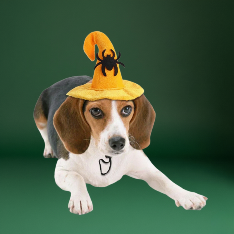 Pet Cosplay Costume – Fun Bat Wings for Cats and Small Dogs