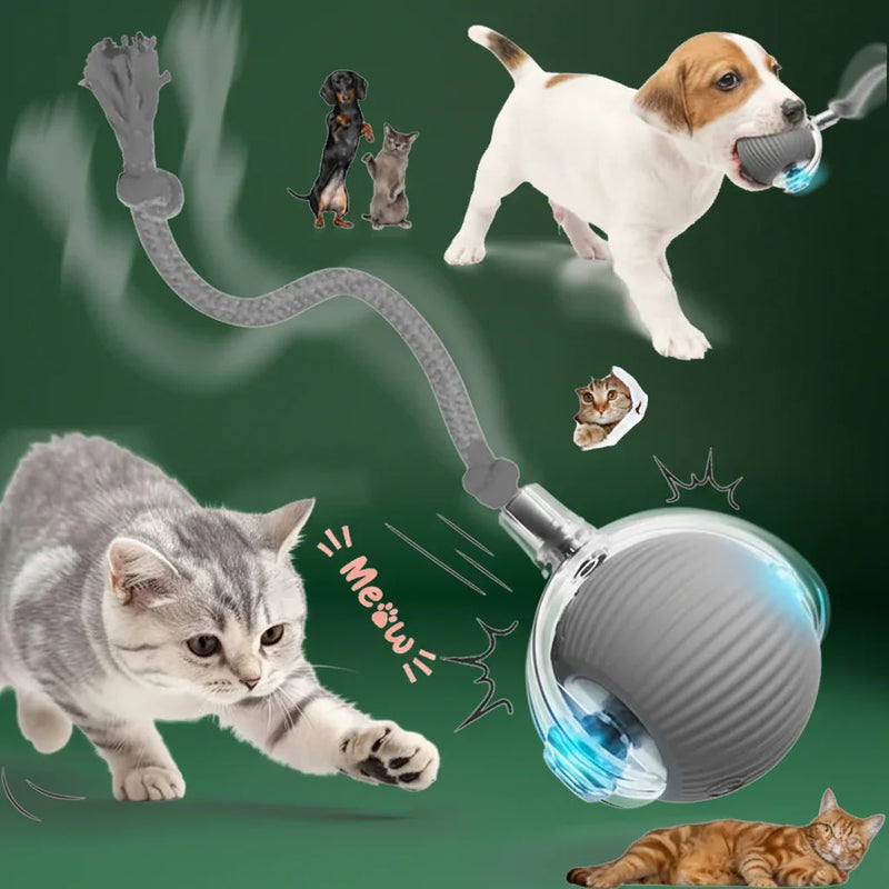 Automatic Cat & Dog Ball – Electric Mouse Imitation Toy