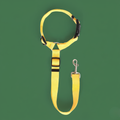 Solid Color Pet Harness & Seat Belt Leash – Safety for Dogs